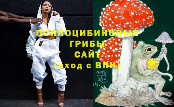каннабис Абаза
