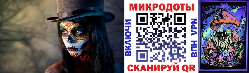 Псилоцибиновые грибы Cubensis  Циолковский 